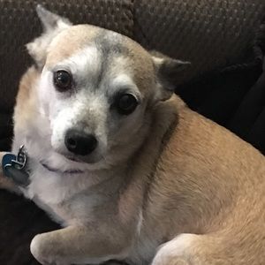 Meet your Posher, Mary lynne